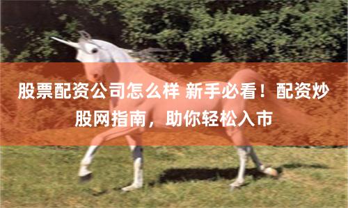 股票配资公司怎么样 新手必看！配资炒股网指南，助你轻松入市